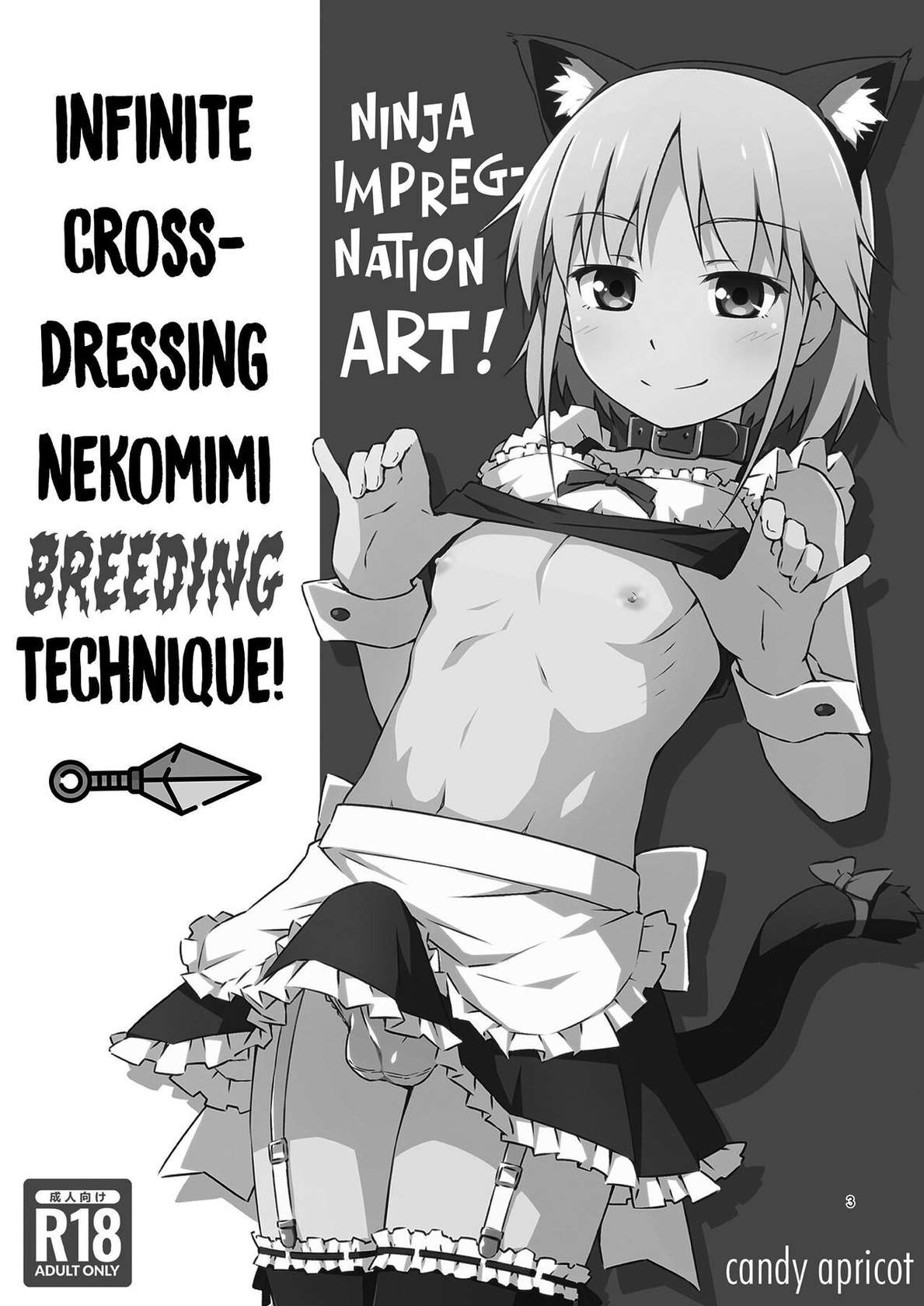 [candy apricot (Mashita)] Ninpou! Josou Nekomimi Maid Mugen Tanetsuke no Jutsu!! | Ninja Impregnation Art: Infinite Crossdressing Nekomimi Breeding Technique! [English] [Team Rabu2] [Digital]