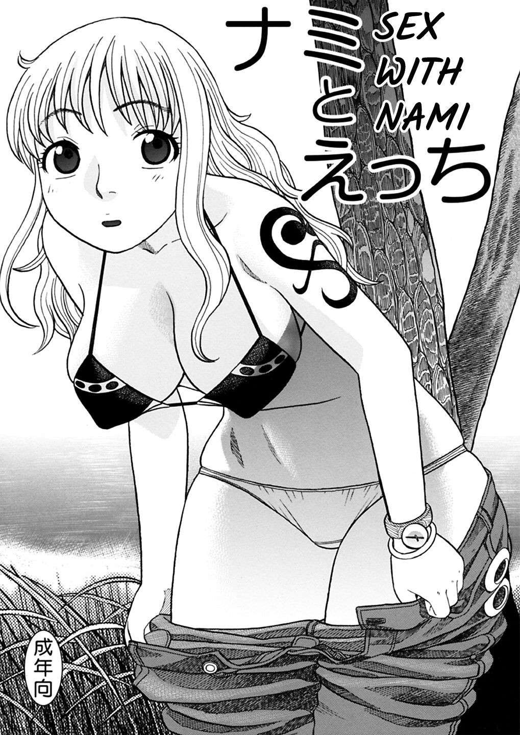 [Studio Wallaby (Niiruma Kenji)] Nami to Ecchi | Sex with Nami (One Piece) [English] {Hennojin}