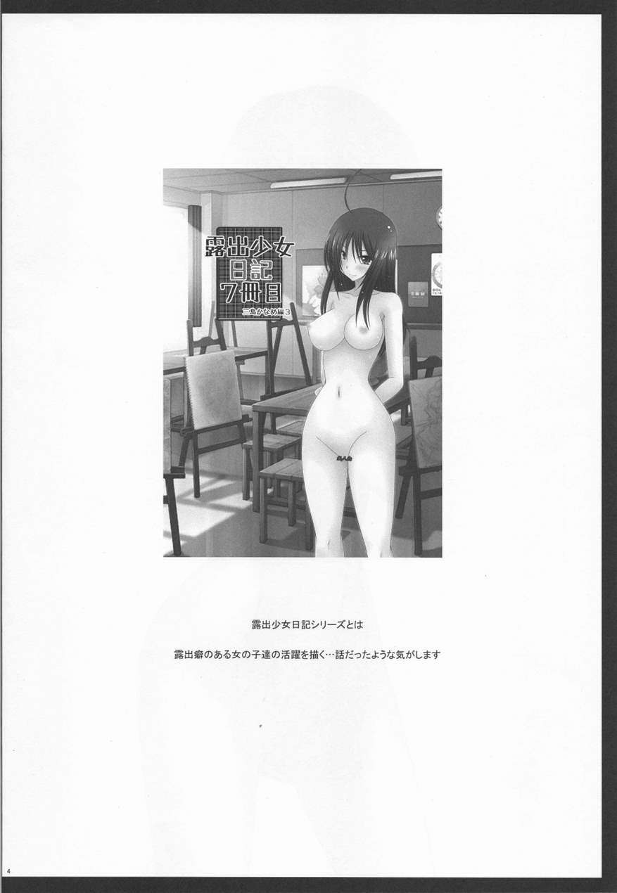 Exhibitionist Girl's Diary 8