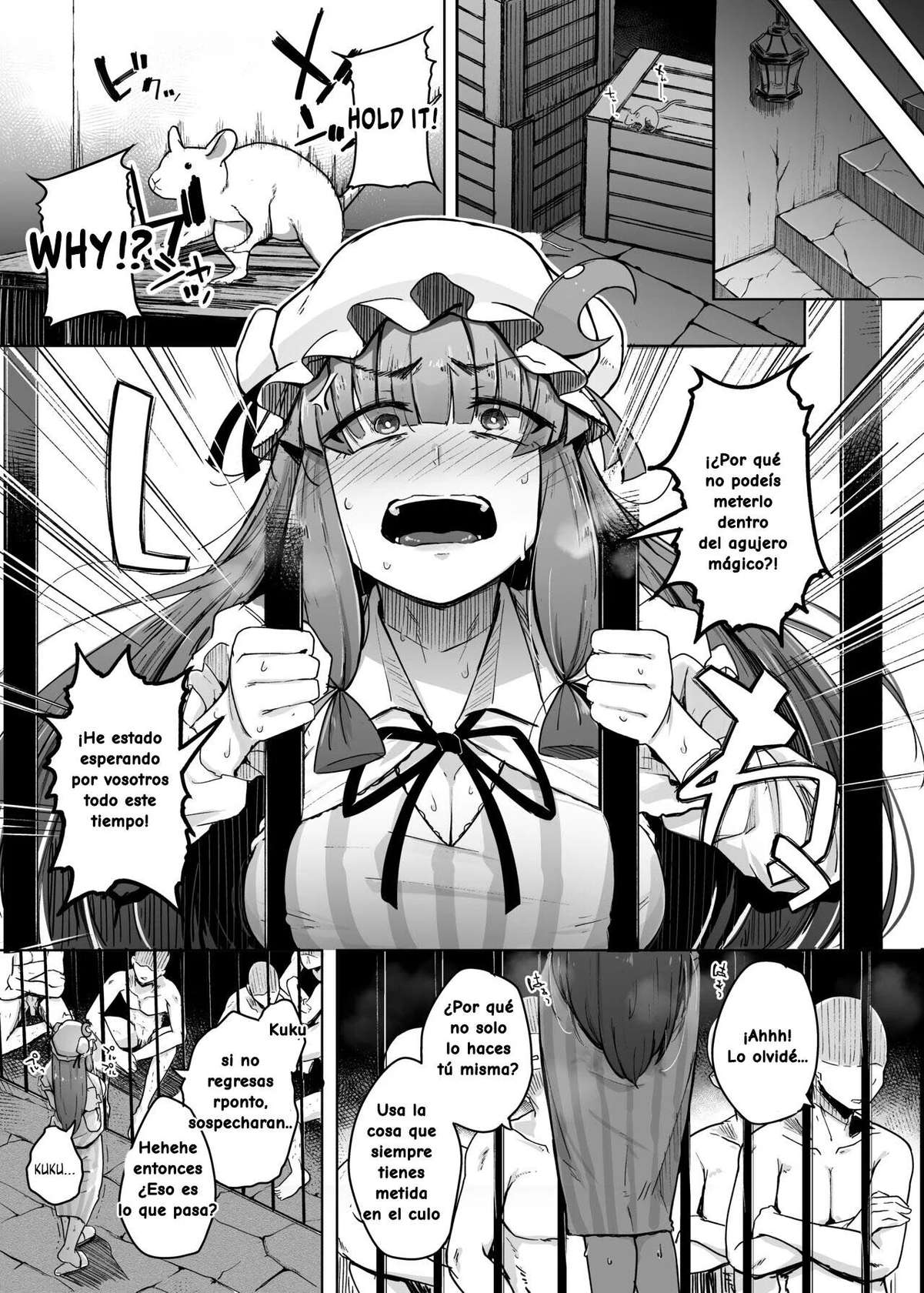 [Jikahatsudensho (flanvia)] Ana to Muttsuri Dosukebe Daitoshokan 5 (Touhou Project) [Spanish] [Digital]