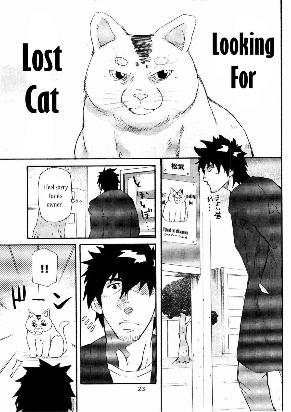 [Takeshi Matsu]  Looking For Lost Cat