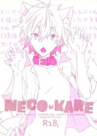 [Mecoro (meco)] necokare (Neon Genesis Evangelion)