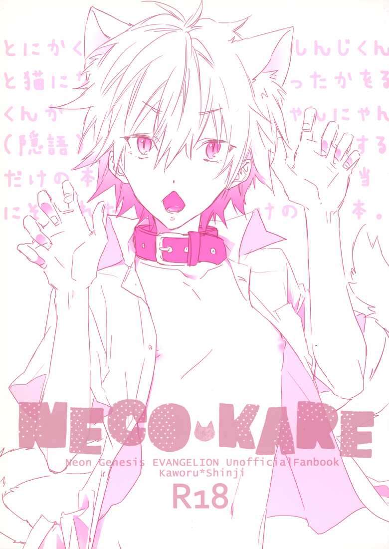 [Mecoro (meco)] necokare (Neon Genesis Evangelion)