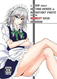 [Pikuchi-ya (piro)] Koumakan de Daiji na Tokoro o Kerareru Hon | A book about getting kicked in important parts at the Scarlet Devil Mansion (touhou project) [Digital]