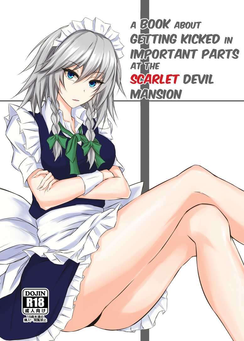 [pikuchi-ya (Piro)] Koumakan de Daiji na Tokoro o Kerareru Hon | A book about getting kicked in important parts at the Scarlet Devil Mansion (Touhou Project) [English] [Eon Hfansub] [Digital]