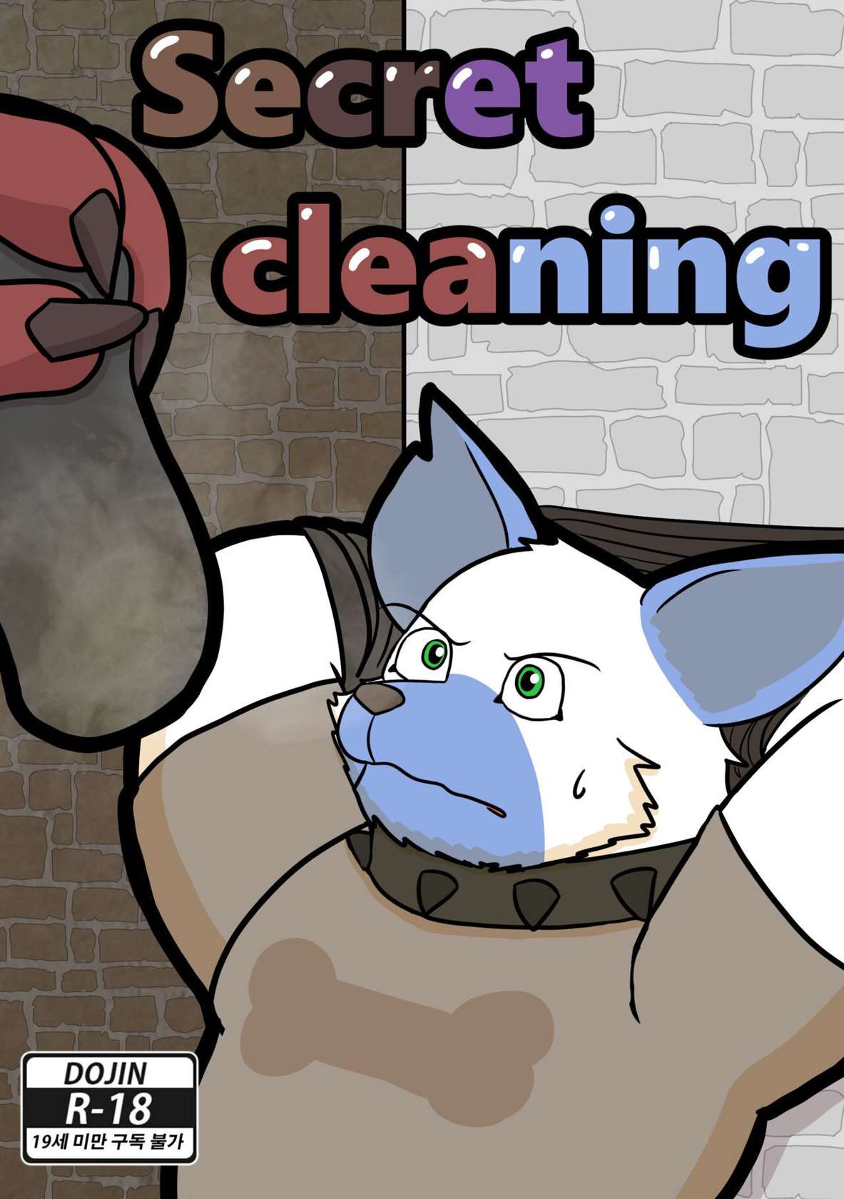 Secret Cleaning (은밀한 청소)