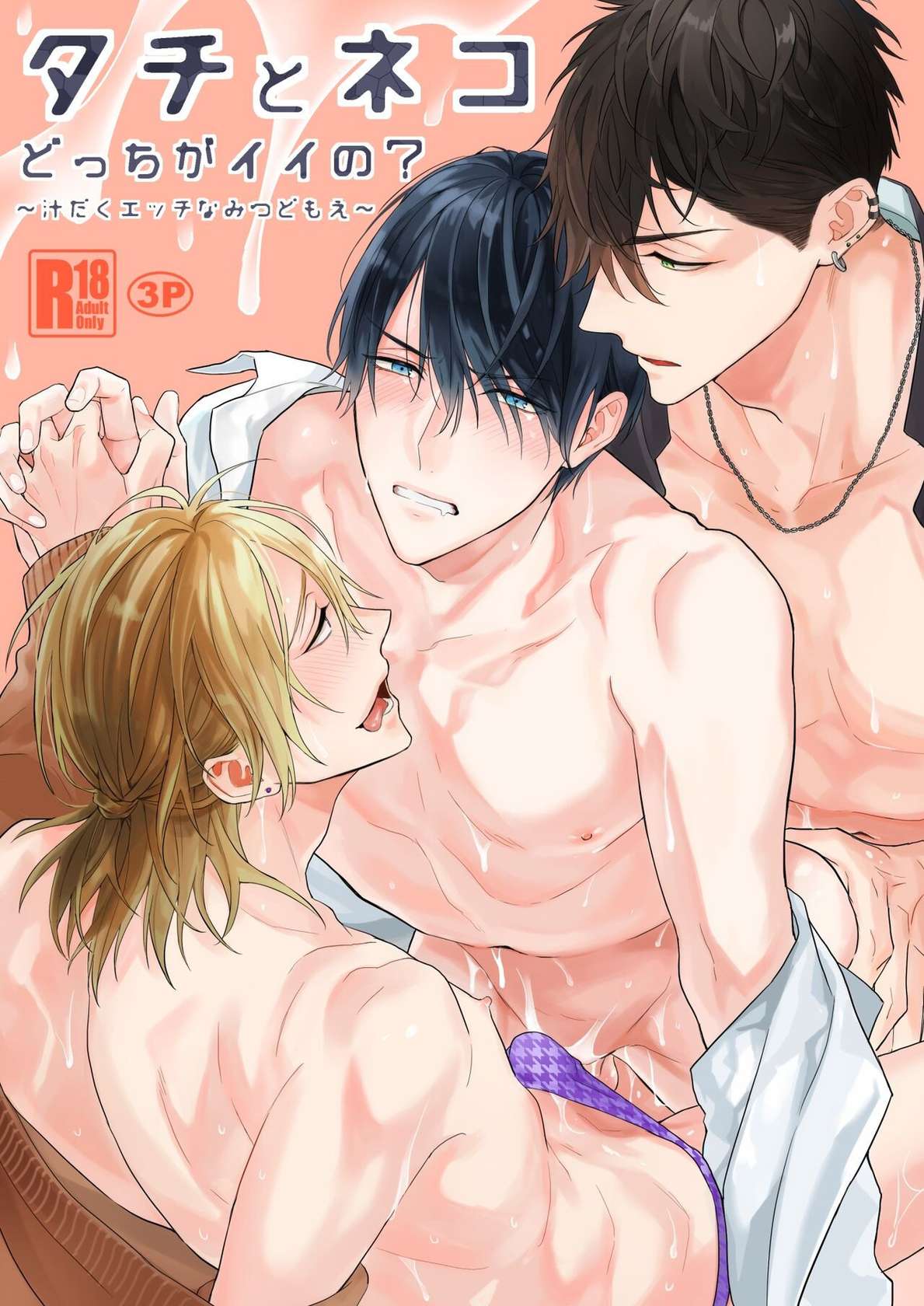 [NS (Nabara Shouko)] Tachi to Neko Docchi ga Ii no? | Top or Bottom? ~Sweaty 3-Way Sex~ [English] [Digital]