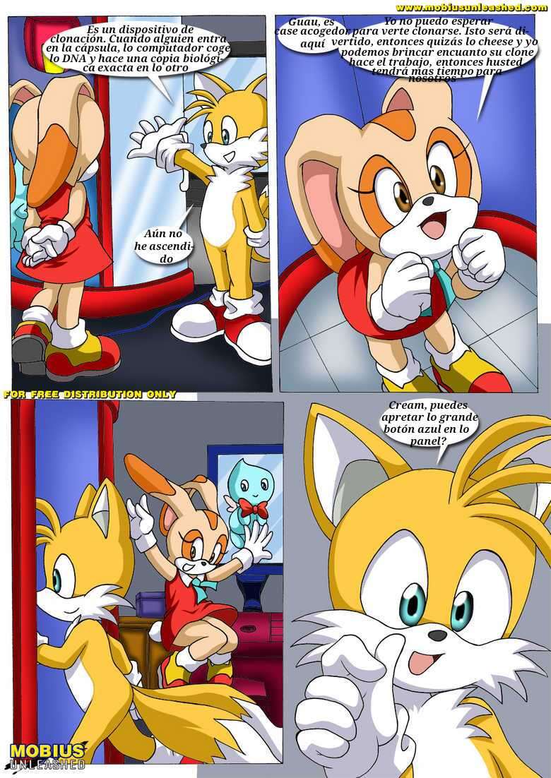 Tails Study (Spanish)