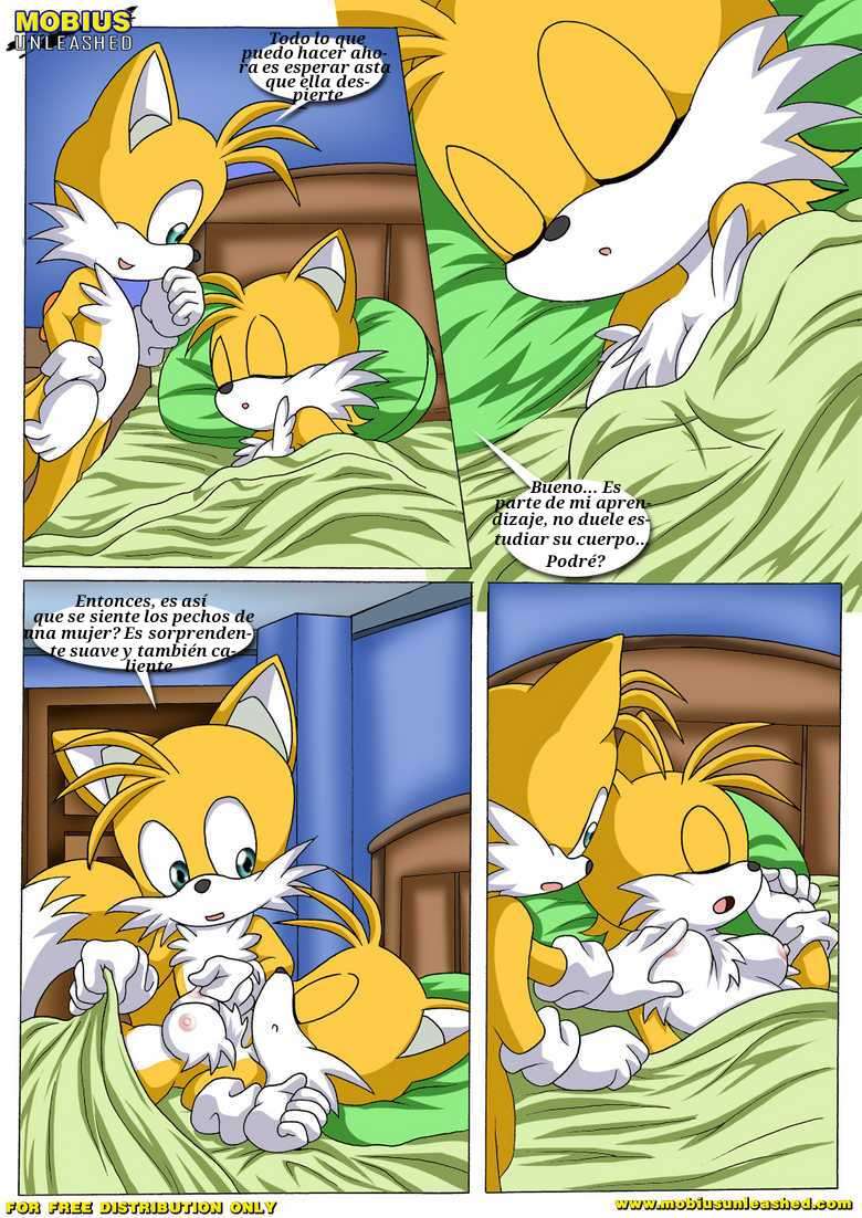 Tails Study (Spanish)