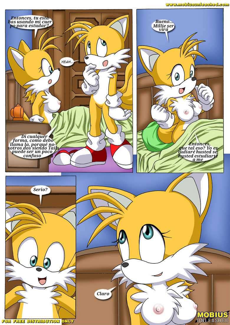 Tails Study (Spanish)