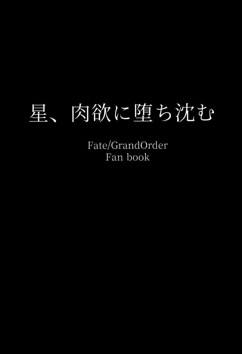 (C102) [ともき屋 (ともき)] 星、肉欲に堕ち沈む (Fate Grand Order)（是小狐狸哦）