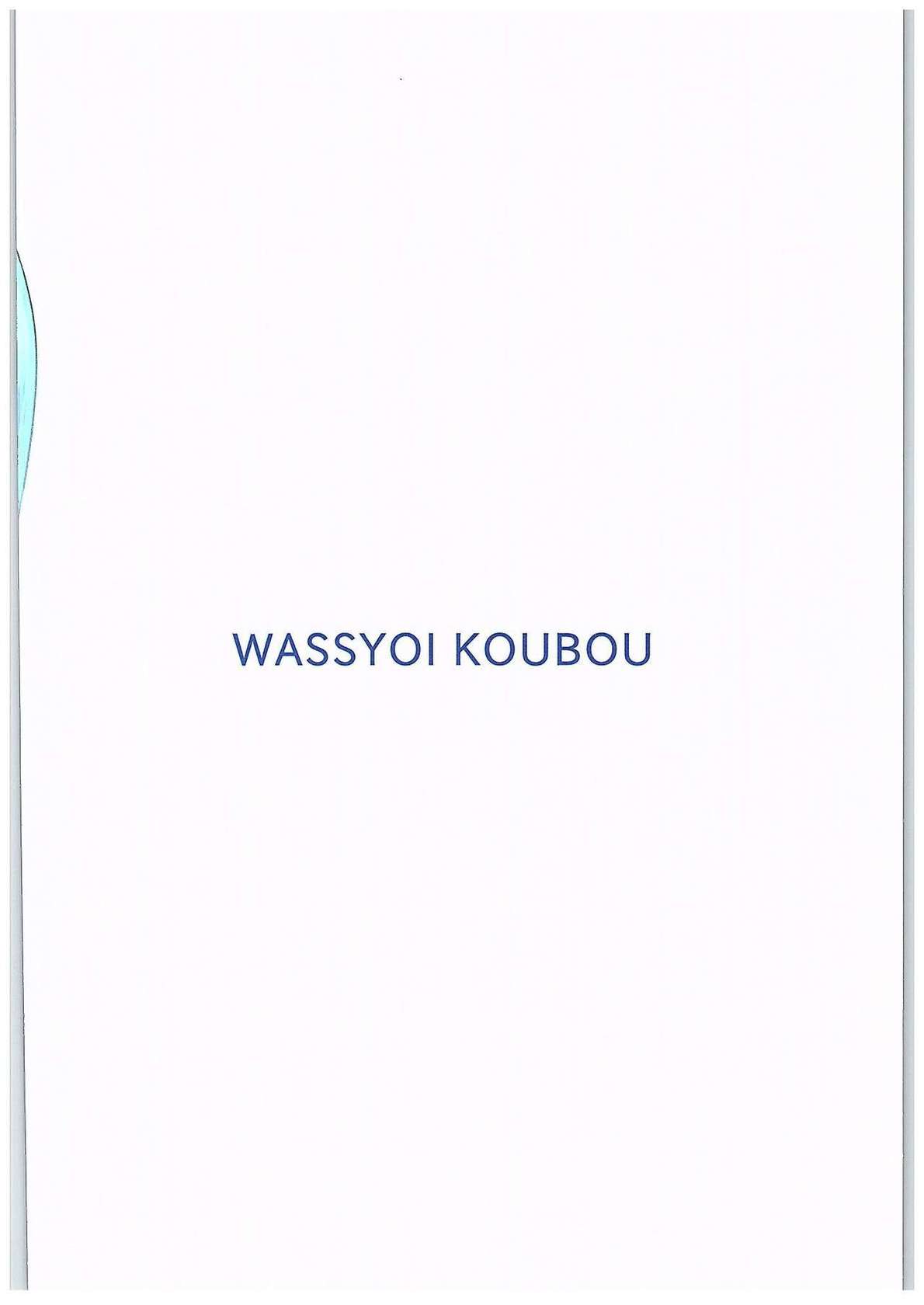 (C89) [Wasshoi Koubou (Hayami Sakura)] Youkai Shoujo no Aishikata 2 (Touhou Project) [English] (Shiririn)