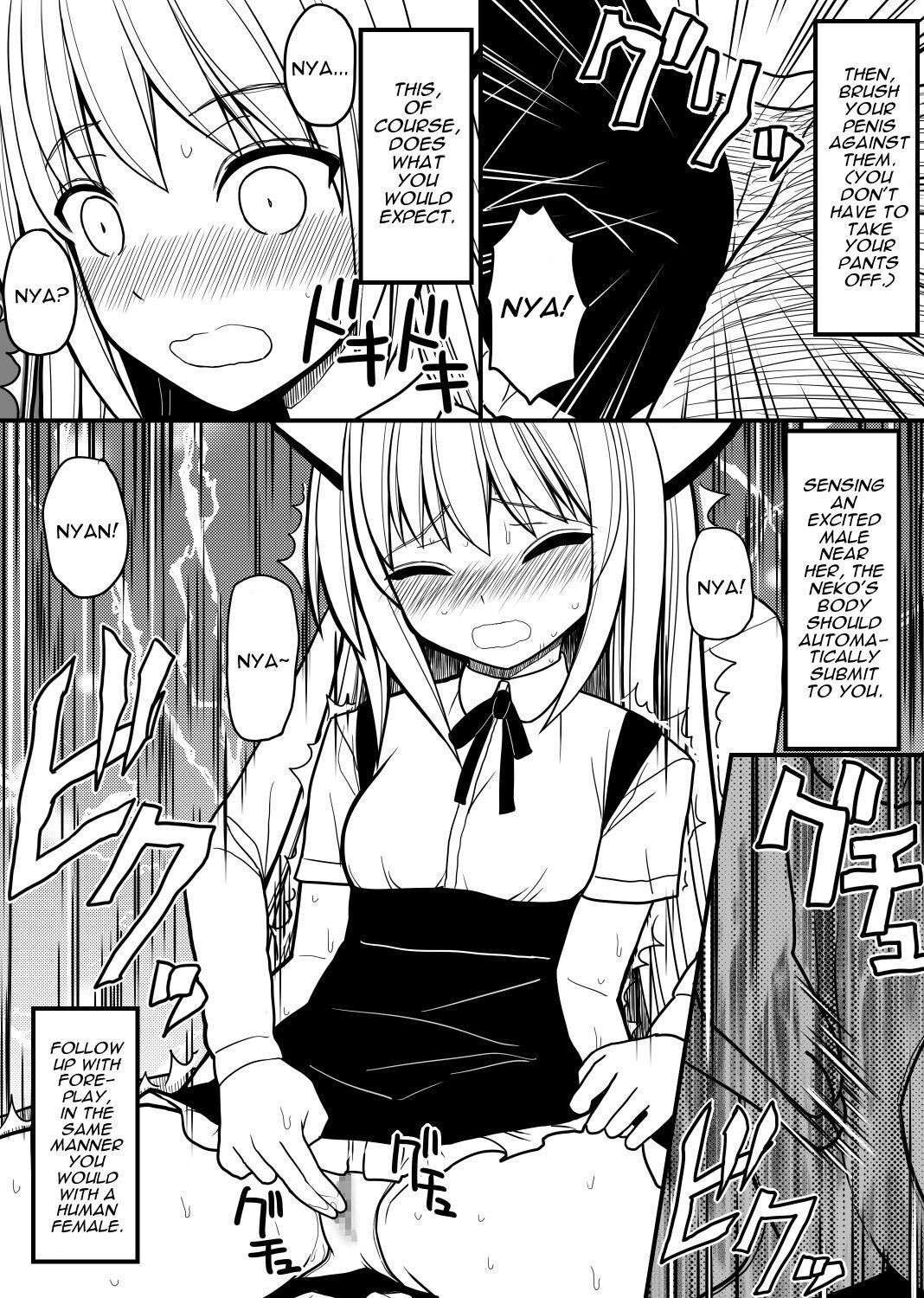 [EsuEsu] Hito neko no kaikata ～Hatsujo-ki-hen～ | How To Raise A Humancat ~Mating Season Edition~ [English] [Darg777 Translations]