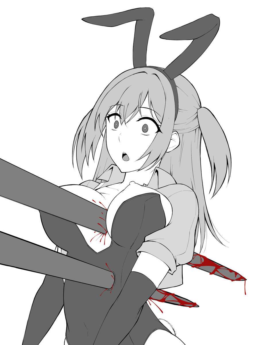 Bunny Fighter