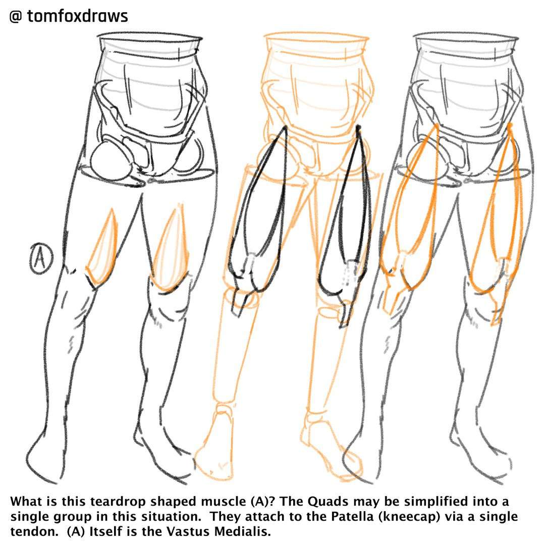 tomfox draws (tutorials)