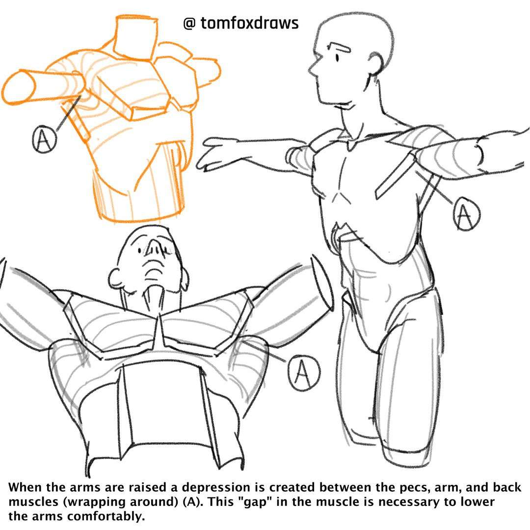 tomfox draws (tutorials)