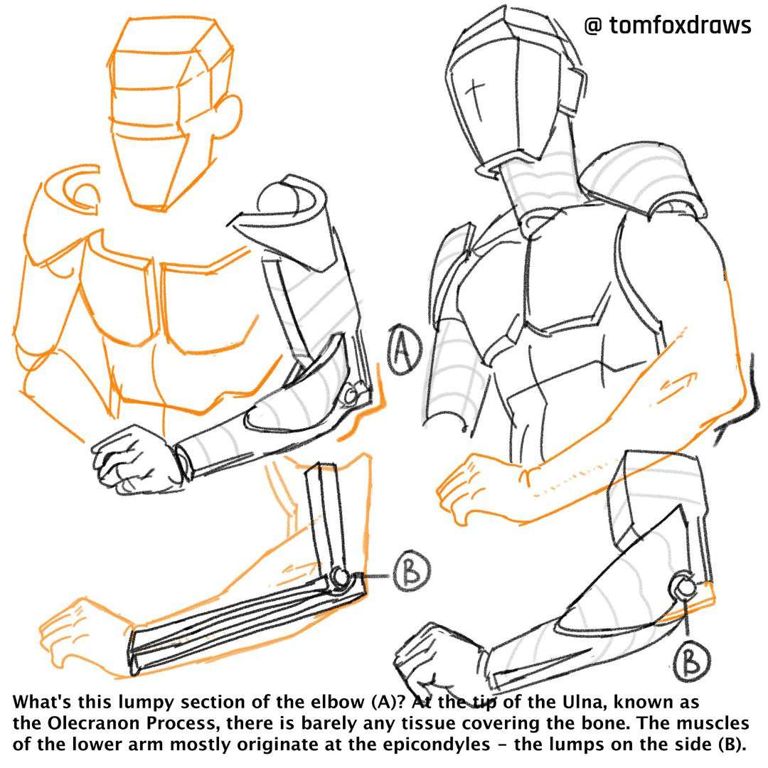 tomfox draws (tutorials)