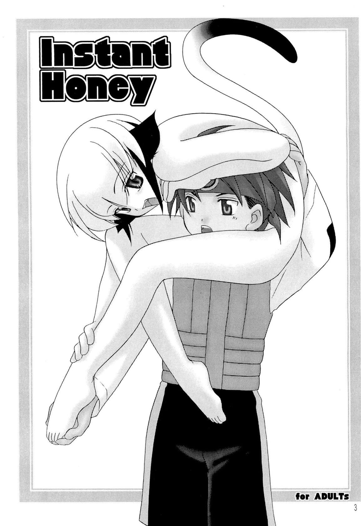 (C66) [C-Mania (Honjou Rika)] Instant Honey (Megaman Battle Network)