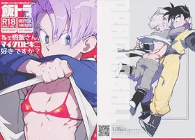 (ShotaFes 17) [Article 60 of Criminal Code (Shuhan)] Nee Gohan-san Micro Bikini Suki desu ka? (Dragon Ball Z)