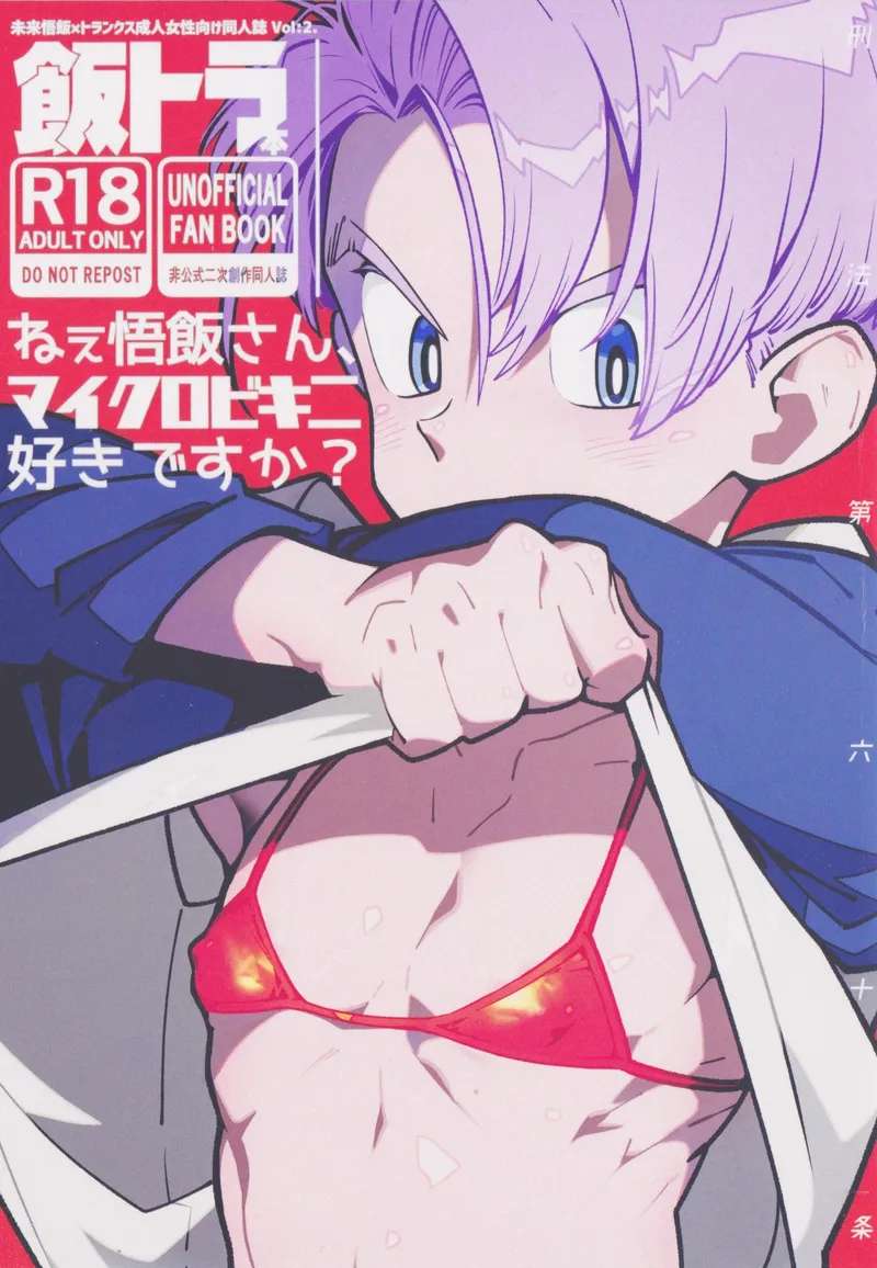 (ShotaFes 17) [Article 60 of Criminal Code (Shuhan)] Nee Gohan-san Micro Bikini Suki desu ka? (Dragon Ball Z)