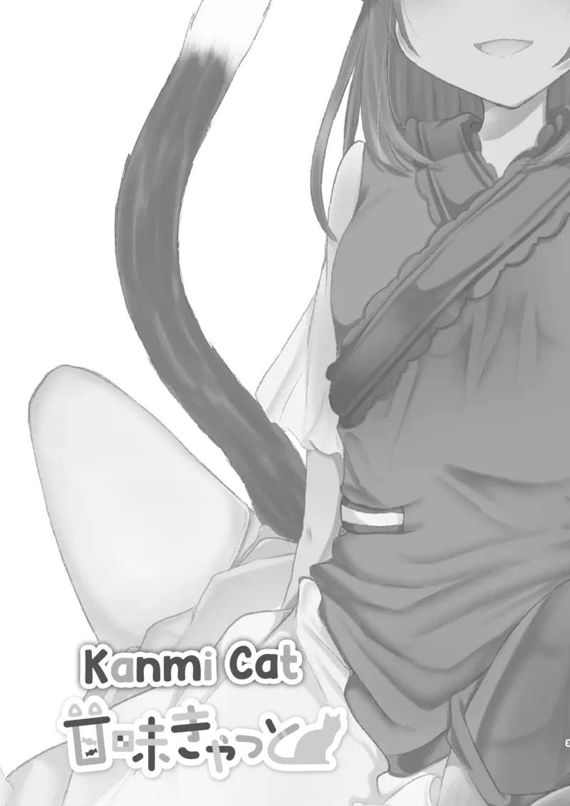 [Kanmi Cat (Miyase Nukko)] Josou Shumi no Boku ga Kondo wa Futanari Chen-chan ni Okasareru Hon (Touhou Project) [English] [mysterymeat3] [Digital]