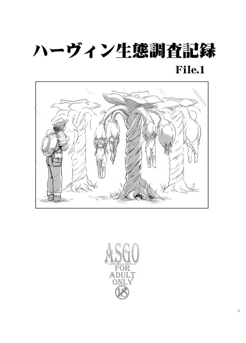 [ASGO (Zanzi)] Harvin Copybook Magazine Summary (Granblue Fantasy) [Digital]